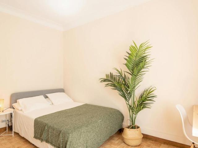Alquiler 1 Dormitorio Shared Living/Roommate Barcelona Barcelona DS100675258