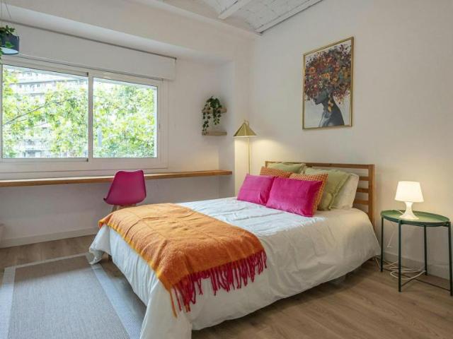 Alquiler 1 Dormitorio Shared Living/Roommate Barcelona Barcelona DS100715303