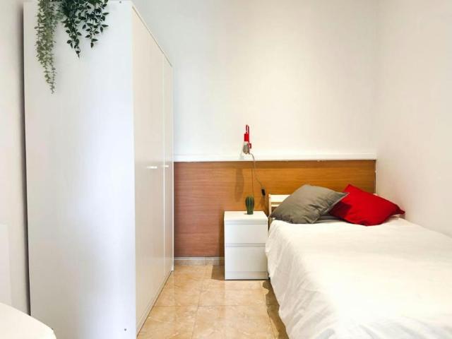Alquiler 1 Dormitorio Shared Living/Roommate Barcelona Barcelona DS100725250