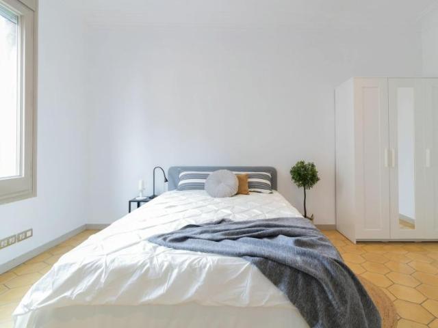 Alquiler 1 Dormitorio Shared Living/Roommate Barcelona Barcelona DS100727331