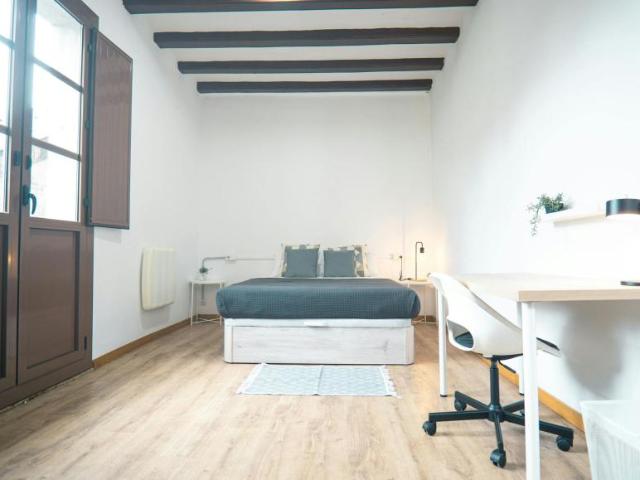 Alquiler 1 Dormitorio Shared Living/Roommate Barcelona Barcelona DS100728356