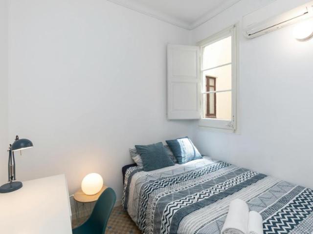 Alquiler 1 Dormitorio Shared Living/Roommate Barcelona Barcelona DS100767122