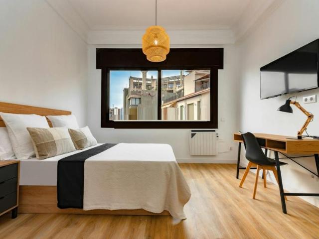 Alquiler 1 Dormitorio Shared Living/Roommate Barcelona Barcelona DS100914321