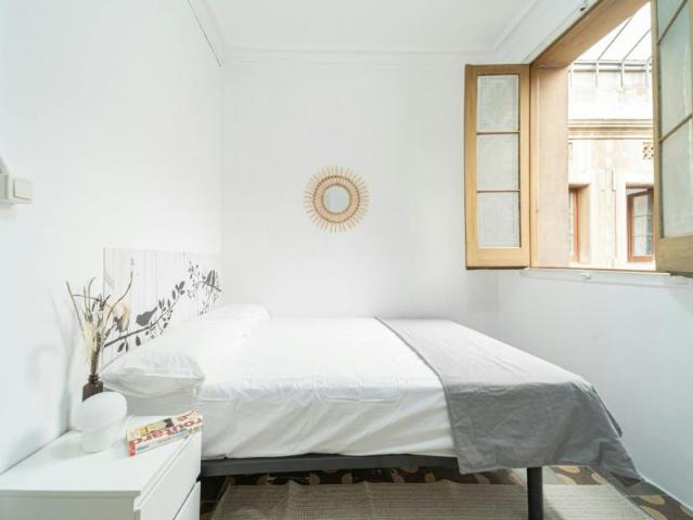Alquiler 1 Dormitorio Shared Living/Roommate Barcelona Barcelona DS101408388