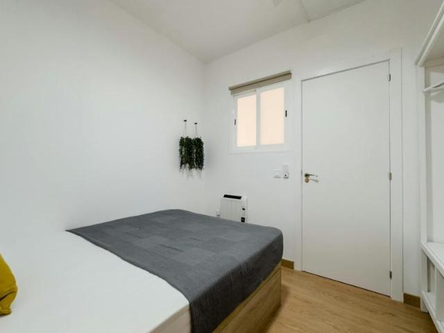 Alquiler 1 Dormitorio Shared Living/Roommate Barcelona Barcelona DS101512605