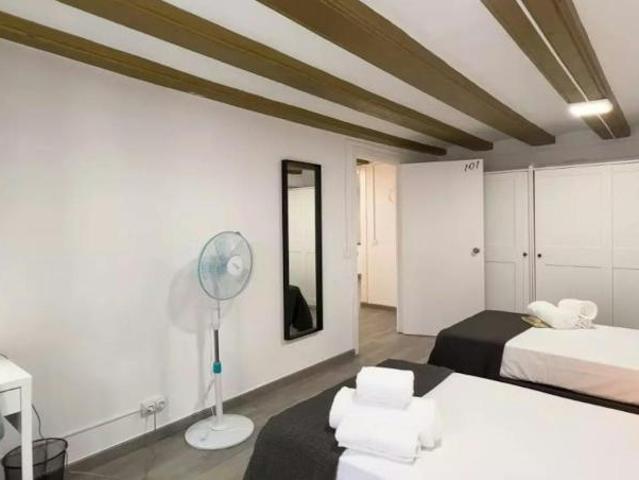 Alquiler 1 Dormitorio Shared Living/Roommate Barcelona Barcelona DS101792883