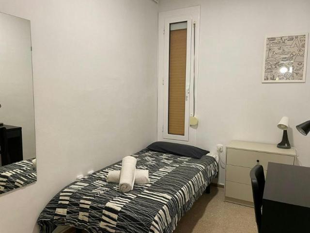 Alquiler 1 Dormitorio Shared Living/Roommate Barcelona Barcelona DS101844958