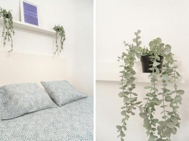 Alquiler 1 Dormitorio Shared Living/Roommate Barcelona Barcelona DS101849451