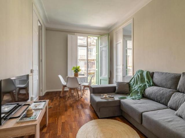 Alquiler 1 Dormitorio Shared Living/Roommate Barcelona Barcelona DS101019995