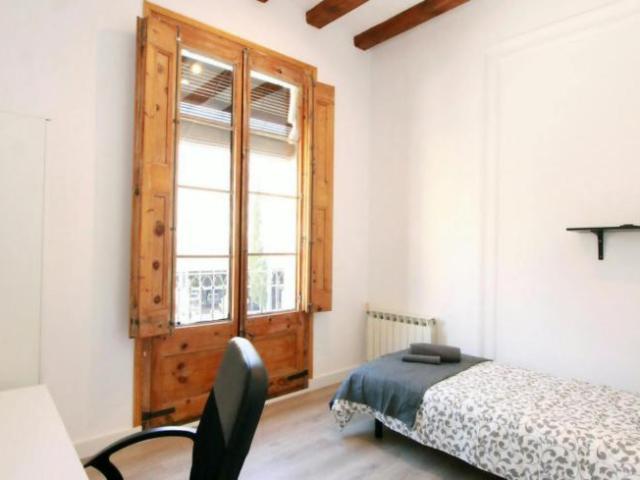 Alquiler 1 Dormitorio Shared Living/Roommate Barcelona Barcelona DS101223646