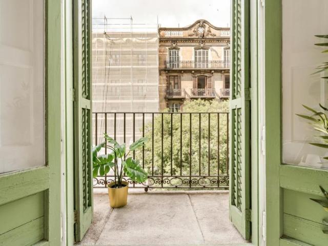 Alquiler 1 Dormitorio Shared Living/Roommate Barcelona Barcelona DS102469860