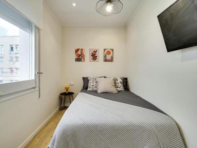 Alquiler 1 Dormitorio Shared Living/Roommate Barcelona Barcelona DS102554206