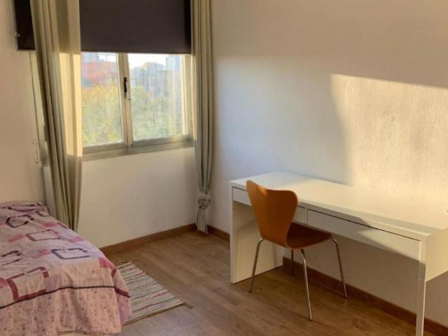 Alquiler 1 Dormitorio Shared Living/Roommate Barcelona Barcelona DS102579661