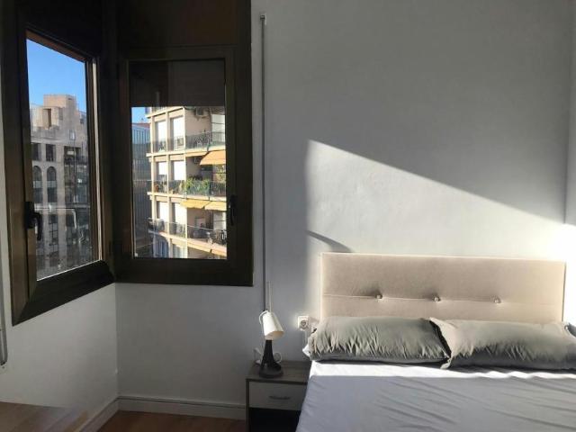 Alquiler 1 Dormitorio Shared Living/Roommate Barcelona Barcelona DS102579715