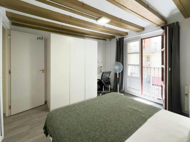 Alquiler 1 Dormitorio Shared Living/Roommate Barcelona Barcelona DS102815262