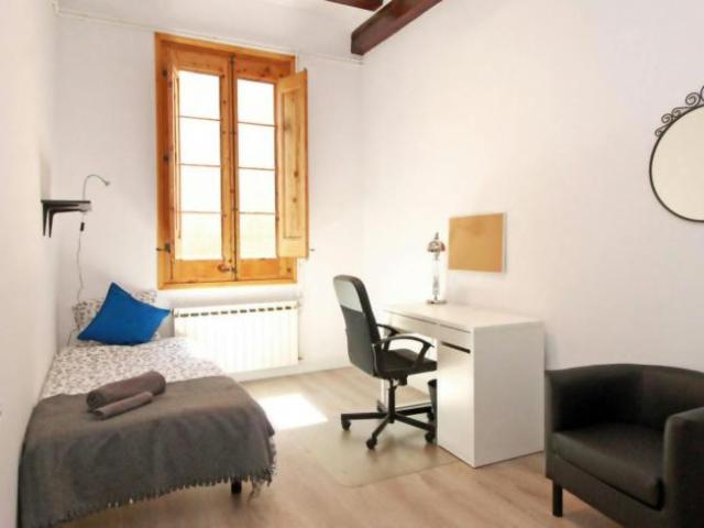 Alquiler 1 Dormitorio Shared Living/Roommate Barcelona Barcelona DS102817013