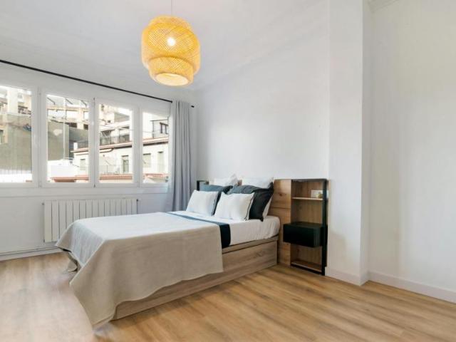Alquiler 1 Dormitorio Shared Living/Roommate Barcelona Barcelona DS102853994