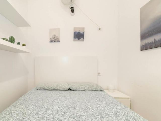 Alquiler 1 Dormitorio Shared Living/Roommate Barcelona Barcelona DS102854907