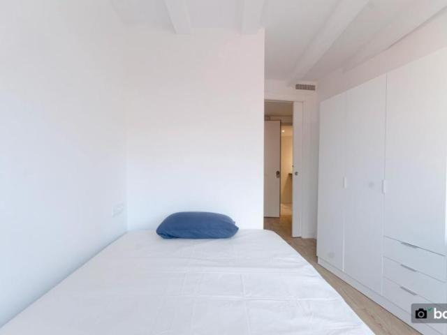 Alquiler 1 Dormitorio Shared Living/Roommate Barcelona Barcelona DS102854098