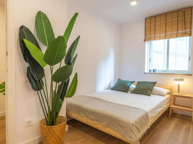 Alquiler 1 Dormitorio Shared Living/Roommate Barcelona Barcelona DS102854200