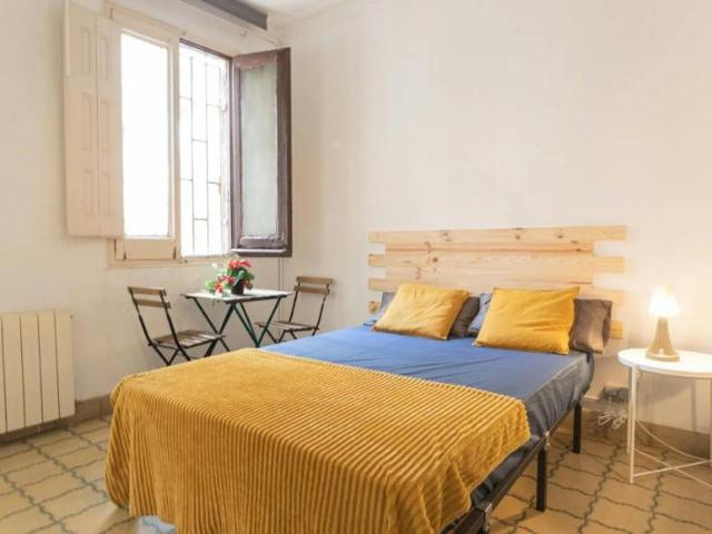 Alquiler 1 Dormitorio Shared Living/Roommate Barcelona Barcelona DS102020447