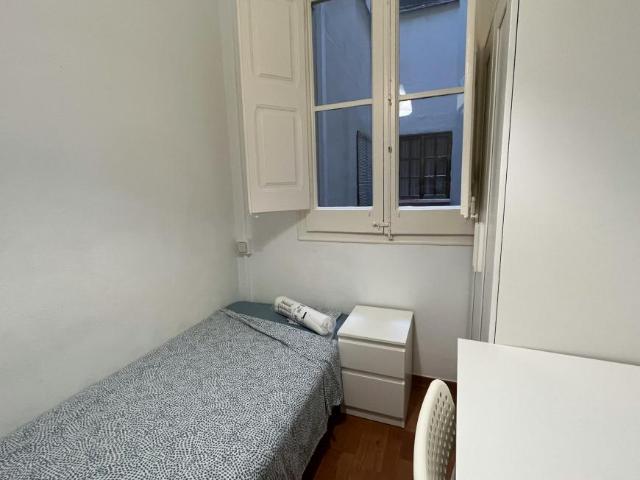 Alquiler 1 Dormitorio Shared Living/Roommate Barcelona Barcelona DS102145801