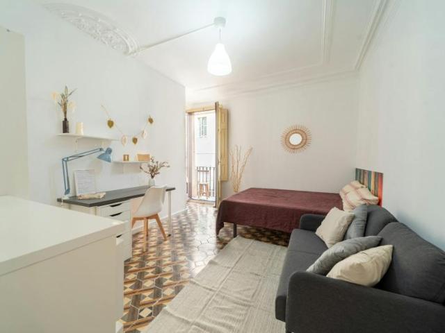 Alquiler 1 Dormitorio Shared Living/Roommate Barcelona Barcelona DS103012831
