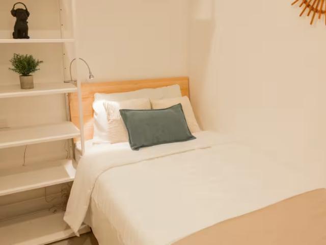 Alquiler 1 Dormitorio Shared Living/Roommate Benidorm Benidorm DS97707964