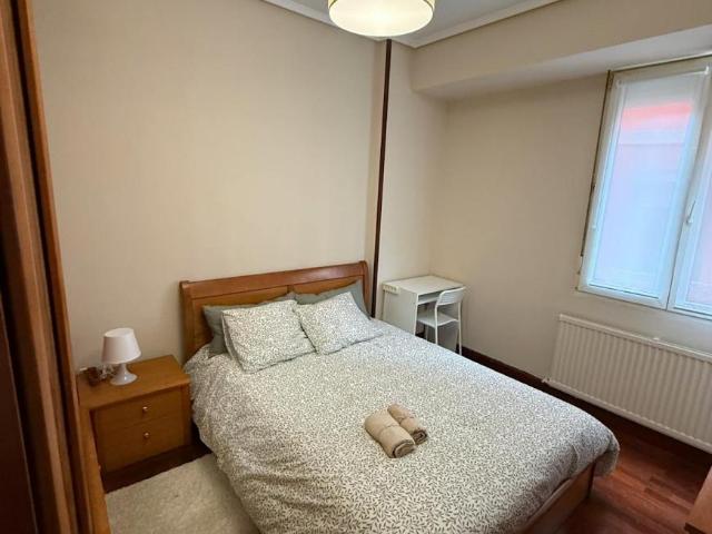 Alquiler 1 Dormitorio Shared Living/Roommate Bilbao Bilbao DLS102553998