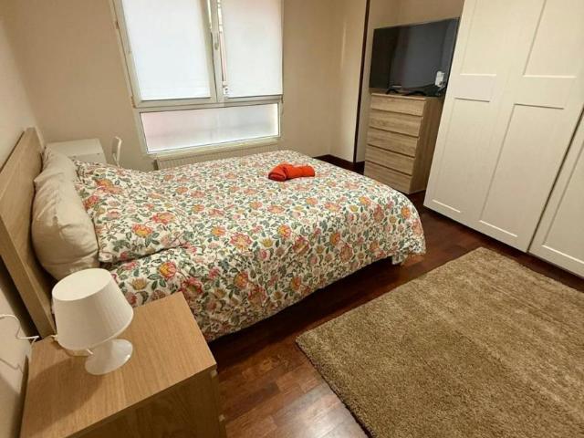 Alquiler 1 Dormitorio Shared Living/Roommate Bilbao Bilbao DLS102848051