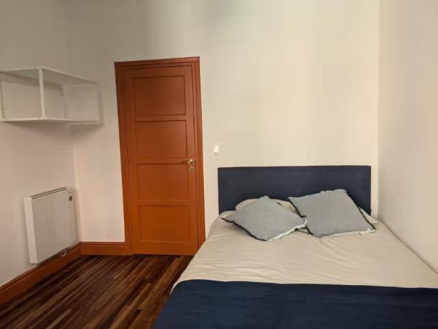 Alquiler 1 Dormitorio Shared Living/Roommate Bilbao Bilbao DLS95917735