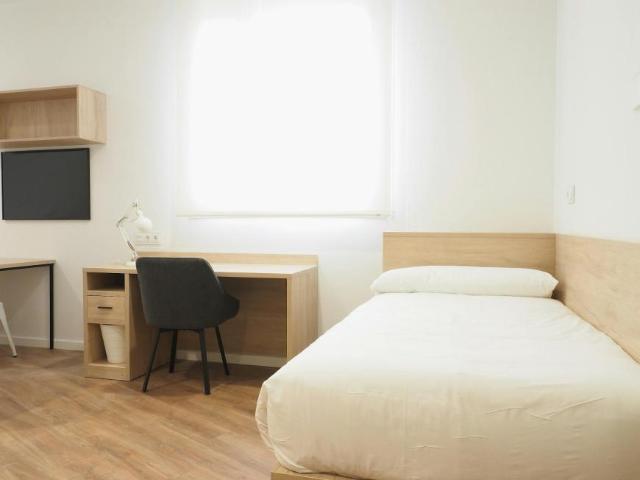 Alquiler 1 Dormitorio Shared Living/Roommate Bilbao Bilbao DS93604090