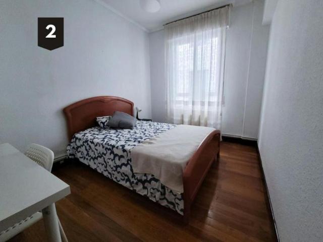 Alquiler 1 Dormitorio Shared Living/Roommate Bilbao Bilbao DS100723470