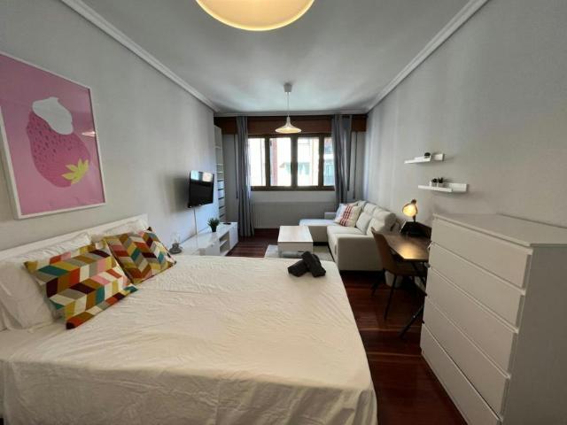 Alquiler 1 Dormitorio Shared Living/Roommate Bilbao Bilbao DS100725205