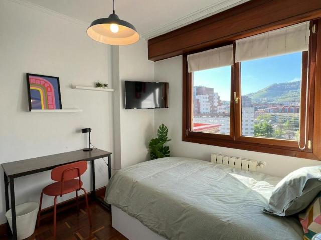 Alquiler 1 Dormitorio Shared Living/Roommate Bilbao Bilbao DS101845311