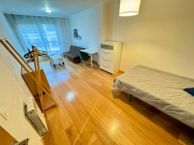 Alquiler 1 Dormitorio Shared Living/Roommate Bilbao Bilbao DS101988586