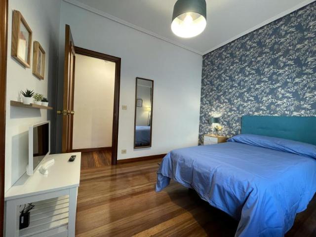 Alquiler 1 Dormitorio Shared Living/Roommate Bilbao Bilbao DS101343812