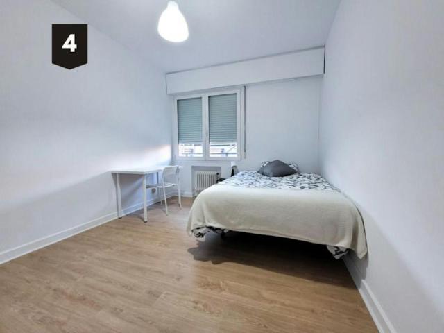 Alquiler 1 Dormitorio Shared Living/Roommate Bilbao Bilbao DS102815187
