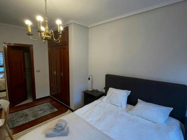 Alquiler 1 Dormitorio Shared Living/Roommate Bilbao Bilbao DS102854761
