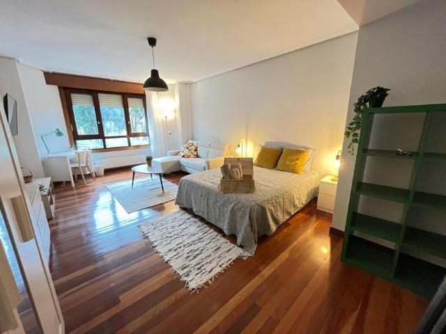 Alquiler 1 Dormitorio Shared Living/Roommate Bilbao Bilbao DS102854766