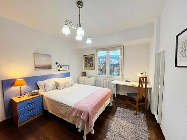 Alquiler 1 Dormitorio Shared Living/Roommate Bilbao Bilbao DS102856576