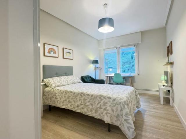Alquiler 1 Dormitorio Shared Living/Roommate Bilbao Bilbao DS103654177