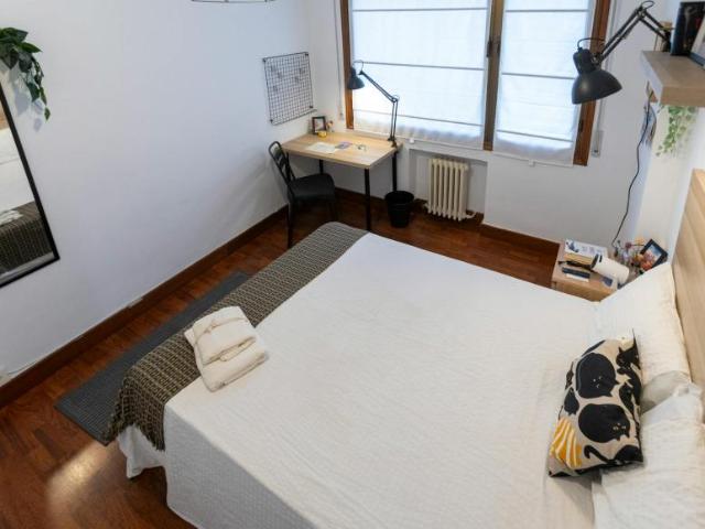 Alquiler 1 Dormitorio Shared Living/Roommate Bilbao Bilbao DS103152610