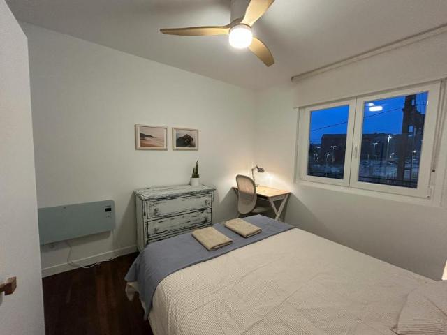 Alquiler 1 Dormitorio Shared Living/Roommate Bilbao Bilbao DS104402265