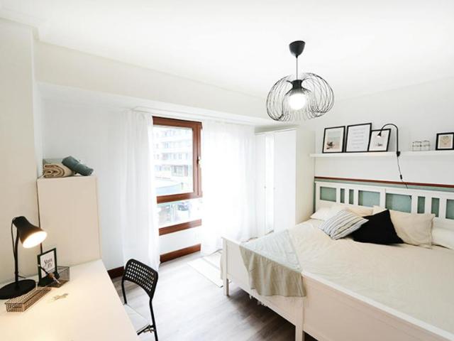 Alquiler 1 Dormitorio Shared Living/Roommate Bilbao Bilbao DS104784469