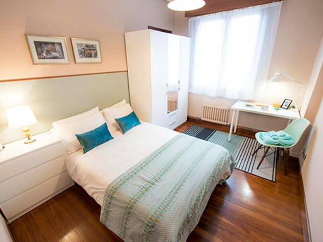 Alquiler 1 Dormitorio Shared Living/Roommate Bilbao Bilbao DS104784727