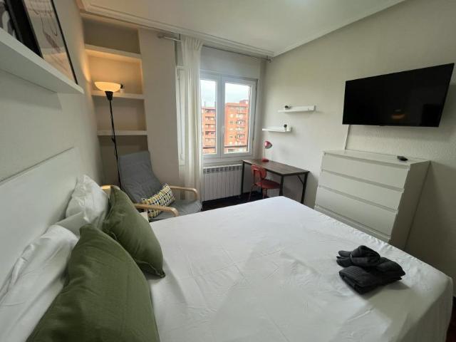 Alquiler 1 Dormitorio Shared Living/Roommate Bilbo Bilbo DLS100718857