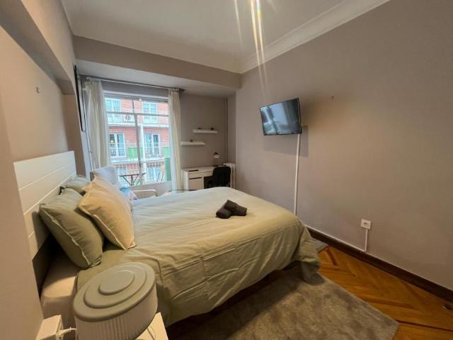 Alquiler 1 Dormitorio Shared Living/Roommate Bilbo Bilbo DLS101842082