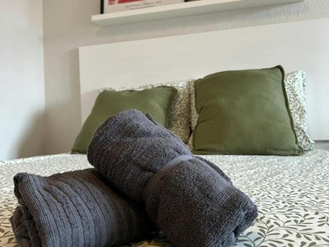 Alquiler 1 Dormitorio Shared Living/Roommate Bilbo Bilbo DLS101842914