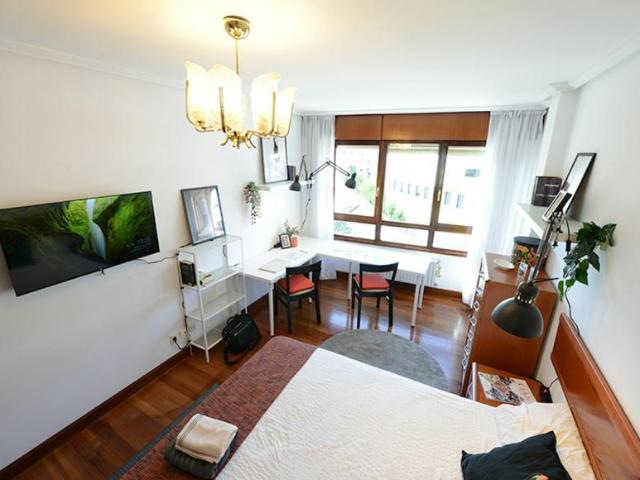 Alquiler 1 Dormitorio Shared Living/Roommate Bilbo Bilbo DS102852018